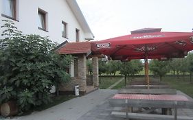 Pansion Laktasi